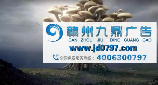 关于钱的广告，也可以不庸俗