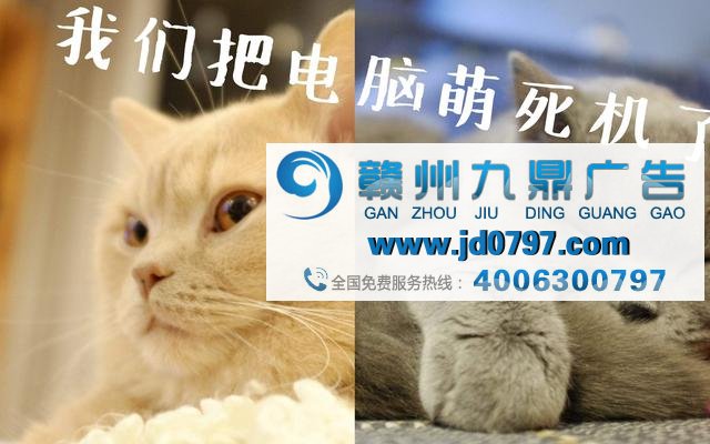 广告不够火？因为你还不懂“吸猫”