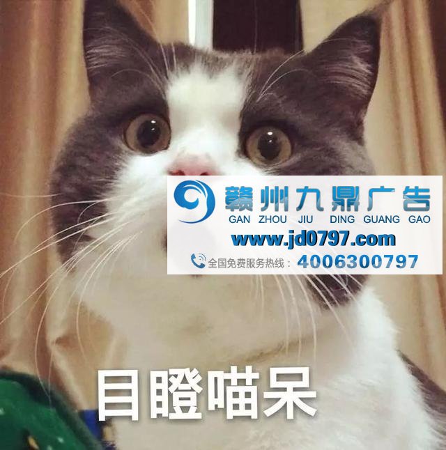 广告不够火？因为你还不懂“吸猫”