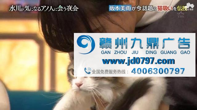 广告不够火？因为你还不懂“吸猫”