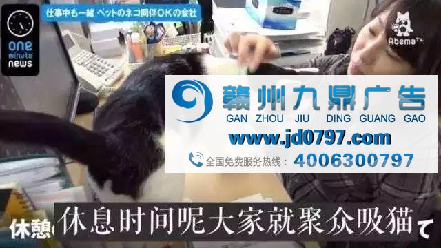 广告不够火？因为你还不懂“吸猫”