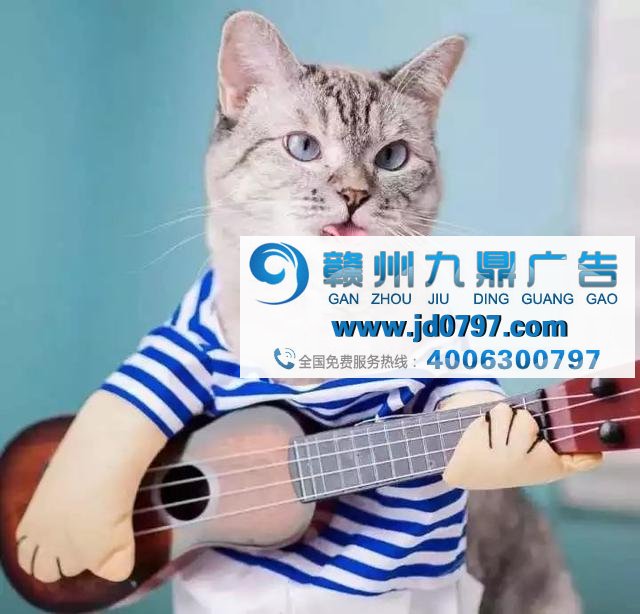 广告不够火？因为你还不懂“吸猫”