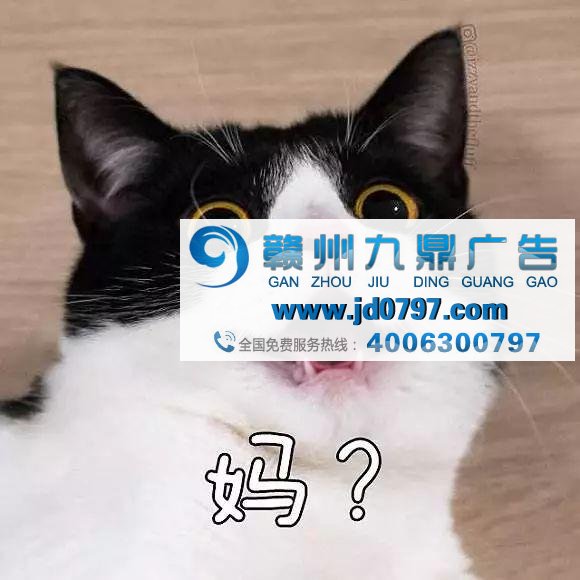 广告不够火？因为你还不懂“吸猫”