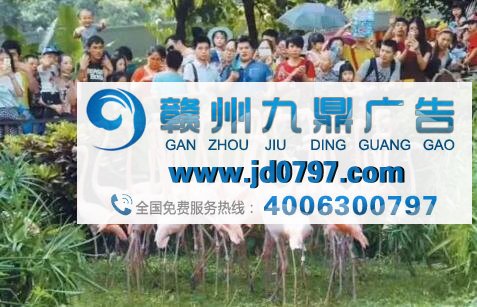 你见过最侮辱智商的广告是哪个?
