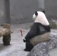 广告圈里都是怎样的一群人?