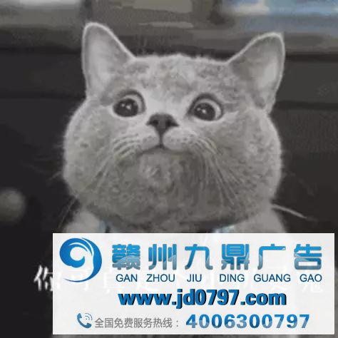 不会说谎的广告人,不是一名合格的广告人