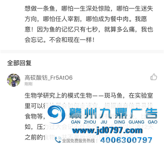 网易云反矫情神回答,文案超会怼