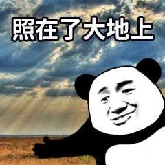 网易云反矫情神回答,文案超会怼