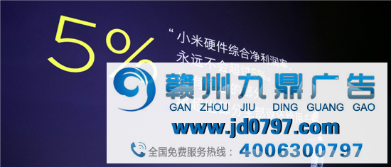 小米十年,为雷军费神