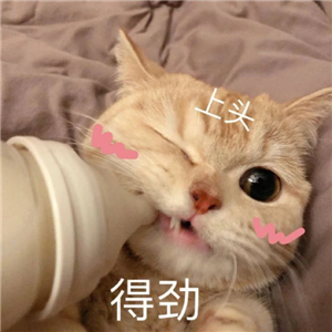 神速！“秋天第一杯奶茶”公司泛起了！