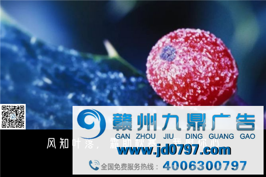 霜降，借势文案，来了