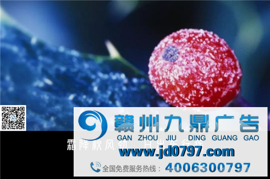 霜降，借势文案，来了