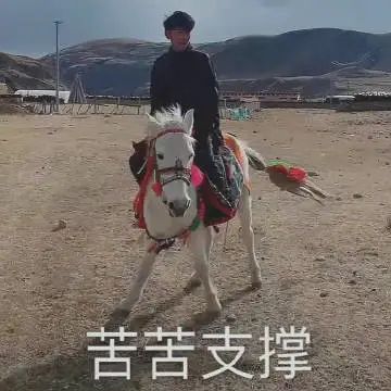 丁真的小马发文案：多一种世界观，就多一条呼吸的路！