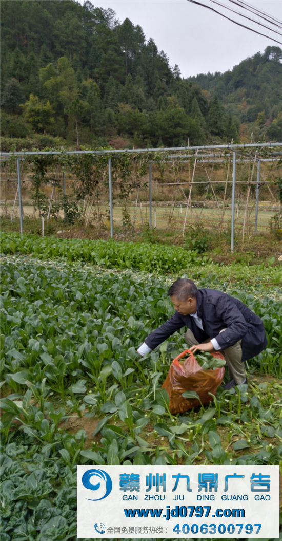 优化生态环境，生长绿色财产：游周鲜生菜篮子生态农场记