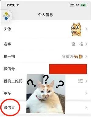 微信新出“微信豆”，网友：你出任你出，我用算我输