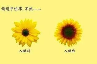 硬核文案,不服来战