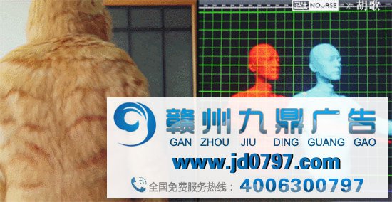 胡歌变成猫了