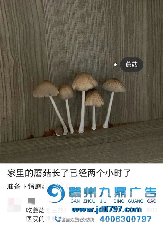 小红书评论区，笋人扎堆儿！