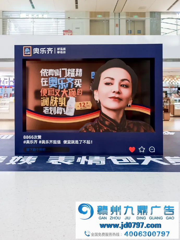 奥乐齐+雪姨，趣味演绎省钱文学