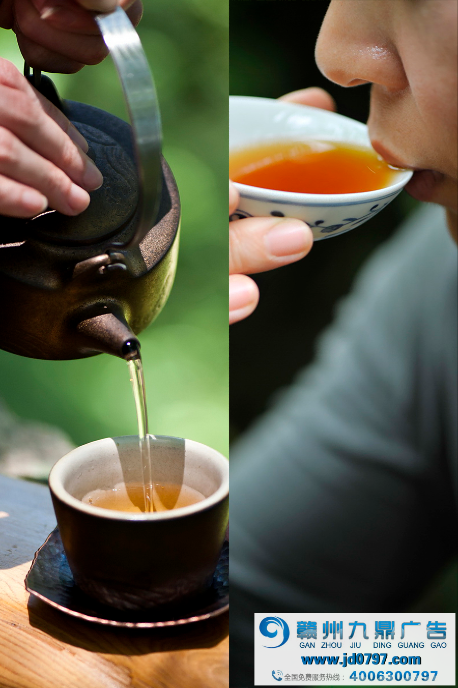 人间四月应问茶：一文读懂中国最鲜春茶源产地